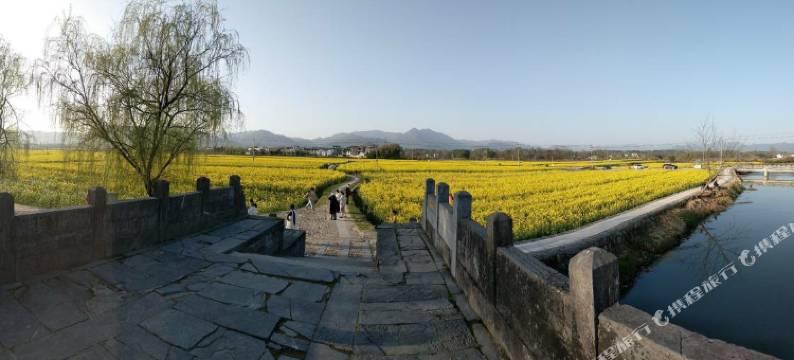 黟县万松林农家客栈图片