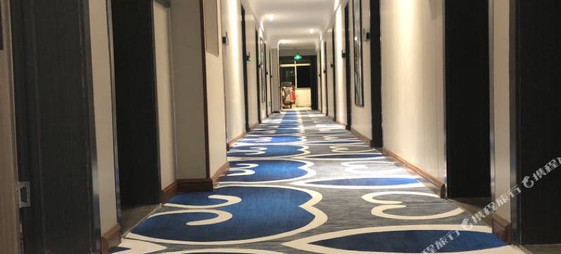 永安君临酒店(新安路店)图片