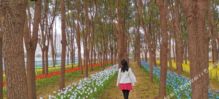 莫泰酒店(上海嘉定百联购物中心店)图片