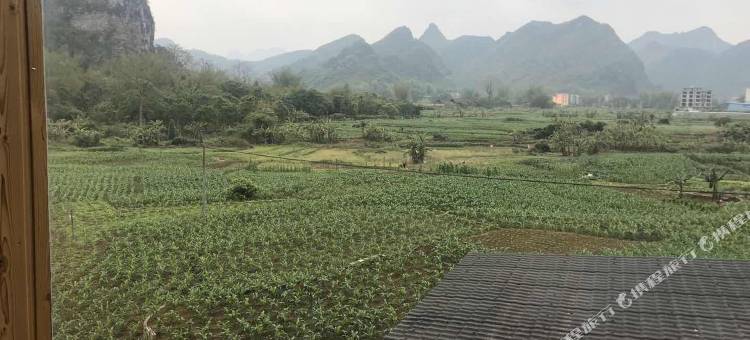 大新德天大塘酒店图片