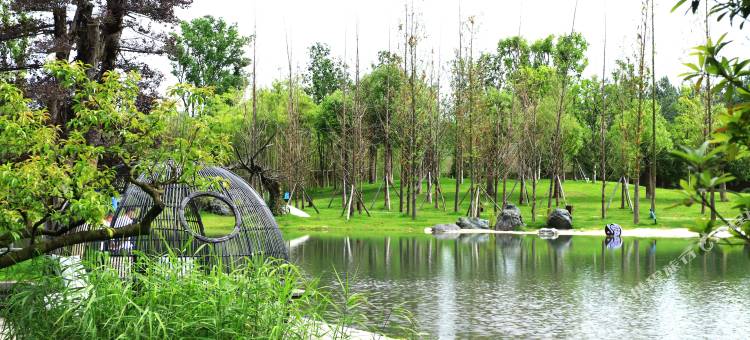 汉中天汉景逸酒店图片