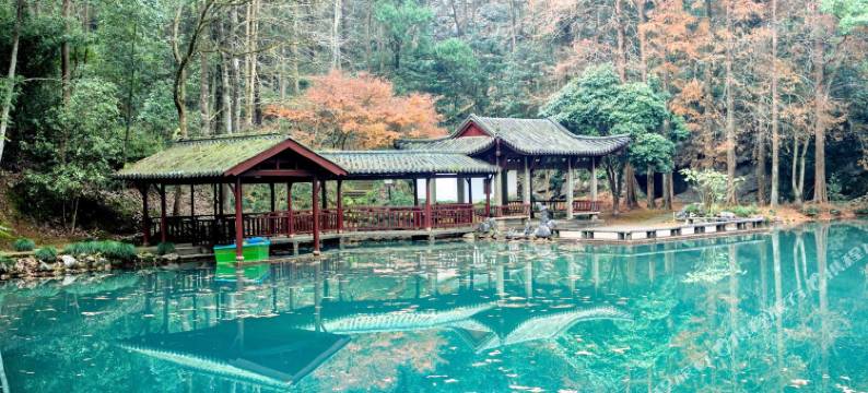 建德寿昌比邻客栈图片