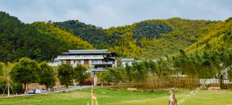 莫干山缦田生态度假酒店图片