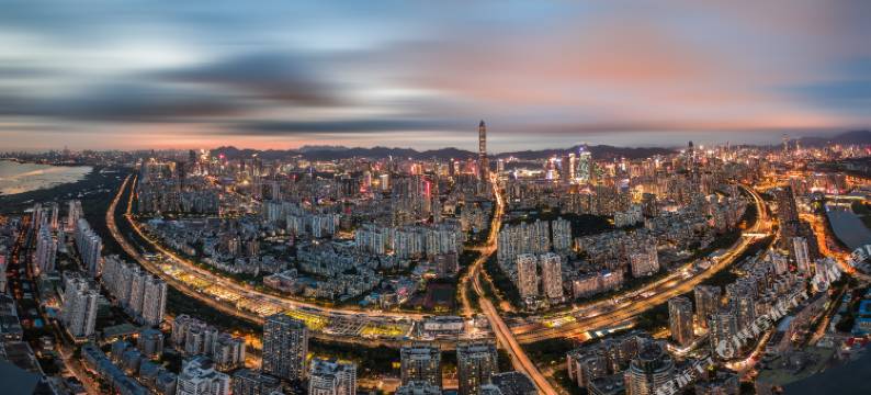丽兹酒店(万科云城西丽地铁站店)图片