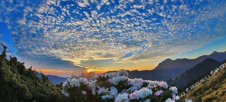 南投清境淳境景观休闲山庄图片