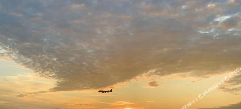 青岛美途优选公寓图片