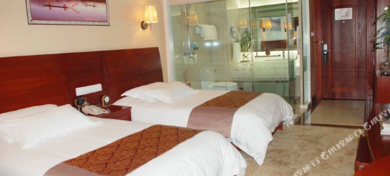 瑞丽新世纪宾馆(财富广场彩云城店)图片