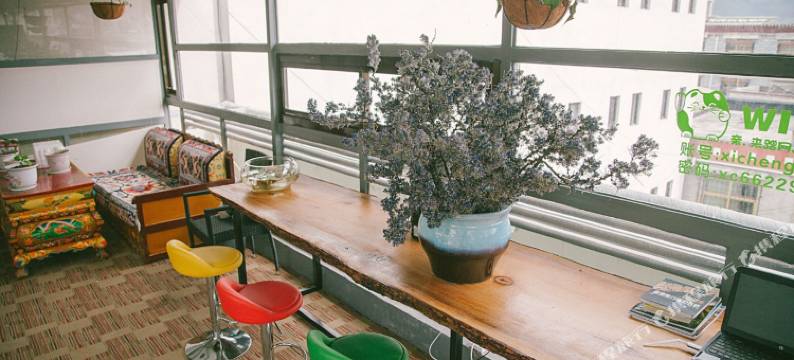 拉萨西城青年客栈图片