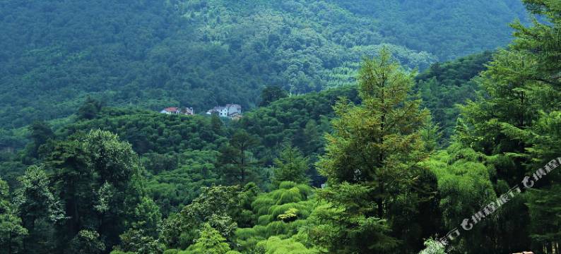 安吉回峰岭农家乐图片