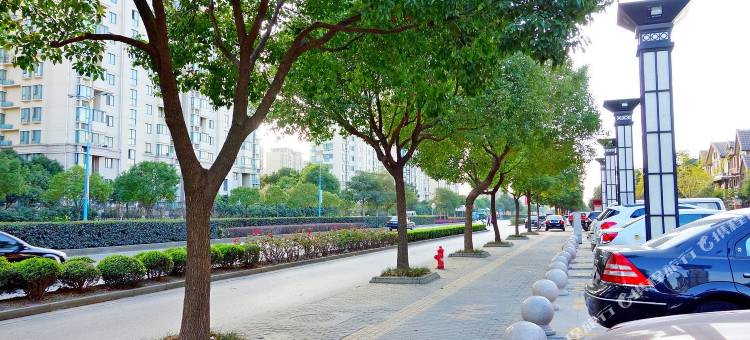 上海猫心一号松江大学城旁现代聚会蔷薇别墅图片