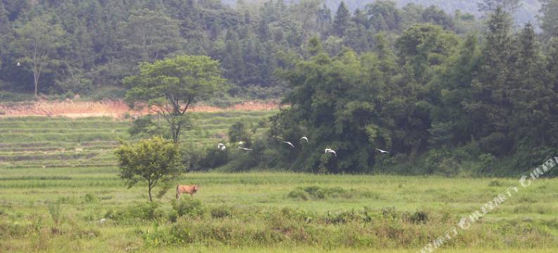 博罗太田乡村生活农庄图片