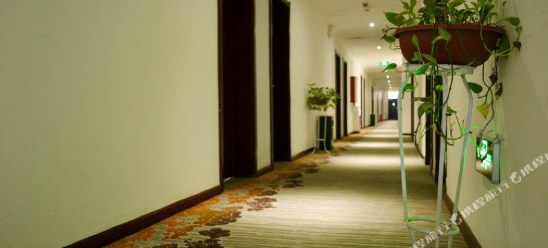 新白兰酒店(郑州沙门地铁站店)图片