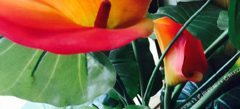 唐克镇严家如意酒店图片