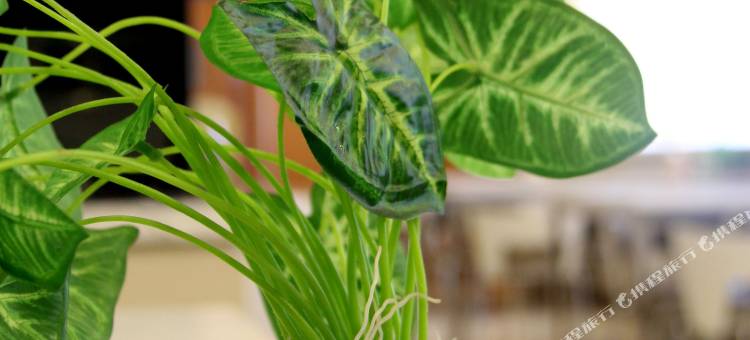 锦江之星风尚(沈阳故宫怀远门店)图片