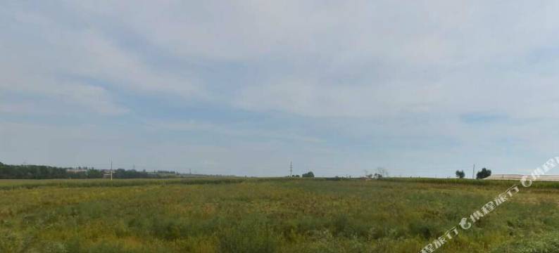 榆树嘉美商务宾馆图片