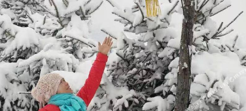 雪谷友家客栈(中国雪谷风景区店)图片