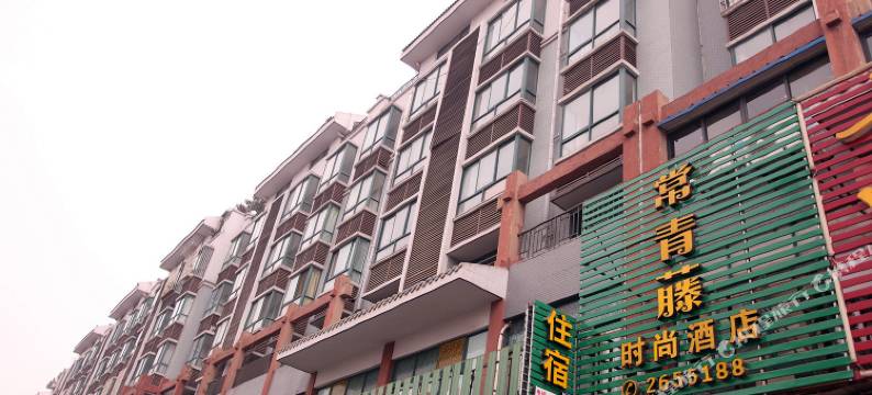 德阳常青藤时尚酒店图片