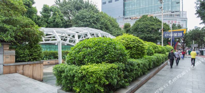 青柠檬树国际公寓(广州市北京路捷登都会店)图片