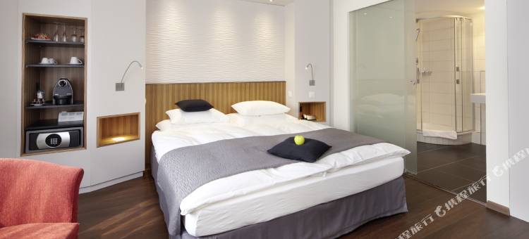 鲁特利索雷尔酒店(Hotel Rutli)图片