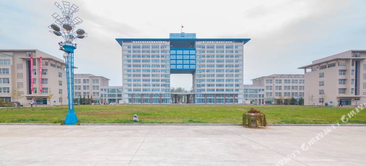 南戴河外语学院家庭公寓图片