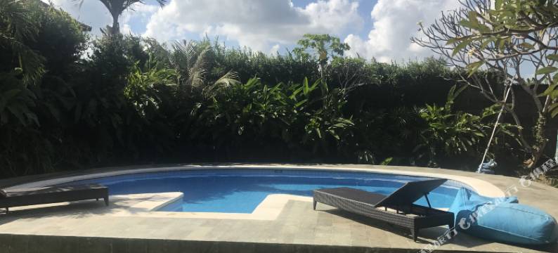 诗瓦民宿(Shiva Homestay)图片