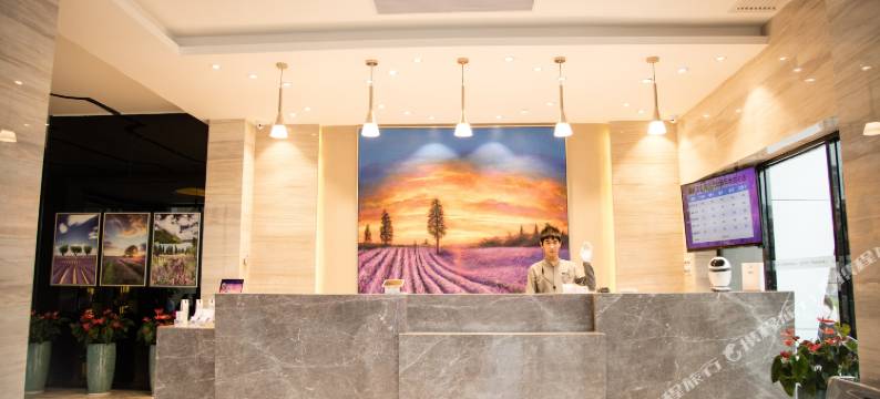 麗枫酒店(深圳龙岗坂田地铁站店)图片