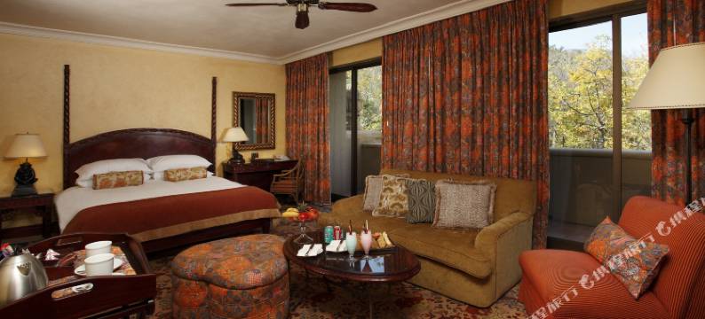 太阳城度假村迷失城宫殿酒店(The Palace of the Lost City at Sun City Resort)图片