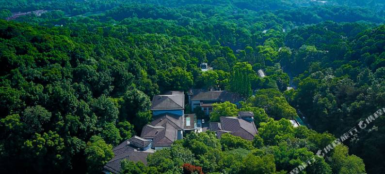 杭州六通宾馆图片