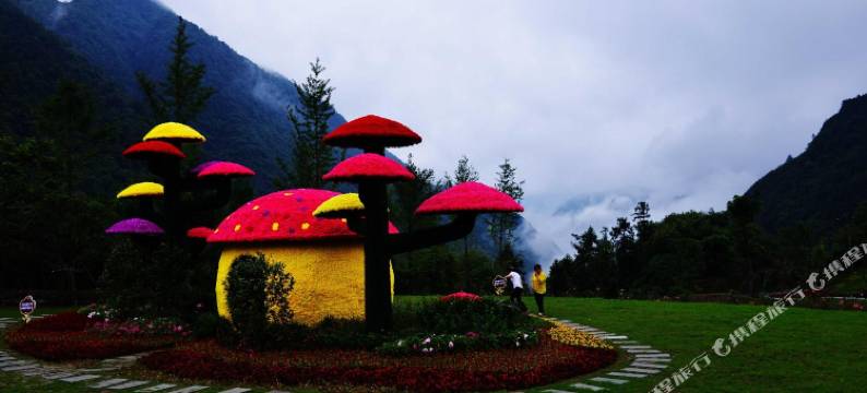 重庆云庐帐篷庭院图片