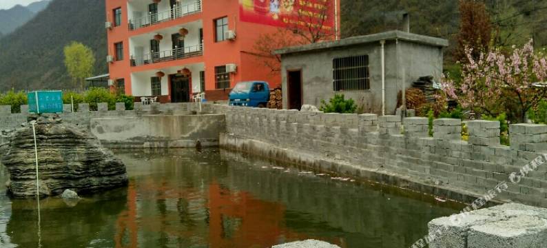 怡心岛生态小院图片