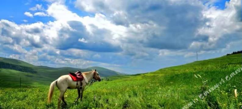 张北草原天路卢雨农家院图片