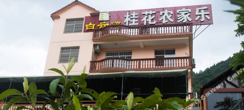 长阳桂花农家乐图片