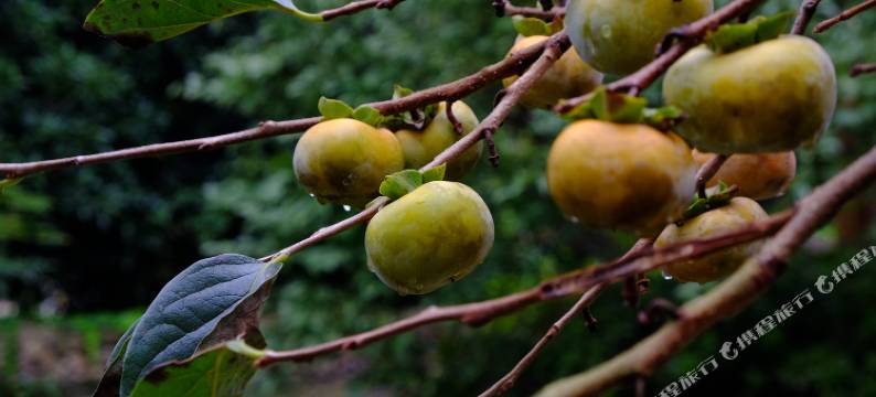 村暖隐莫干民宿图片