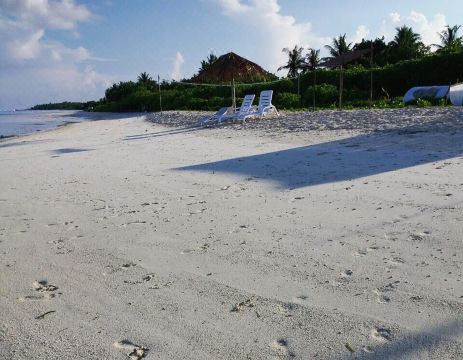 Ameera Maldives Hotel Overview