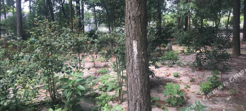 黄梅竹缘居宾馆图片