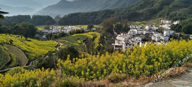 婺源江岭华峰客栈图片