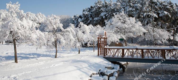 利川哈努营地酒店(Icheon Hanul Camp Pension)图片
