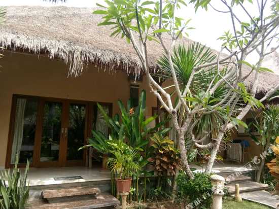 mushroom garden villas bali