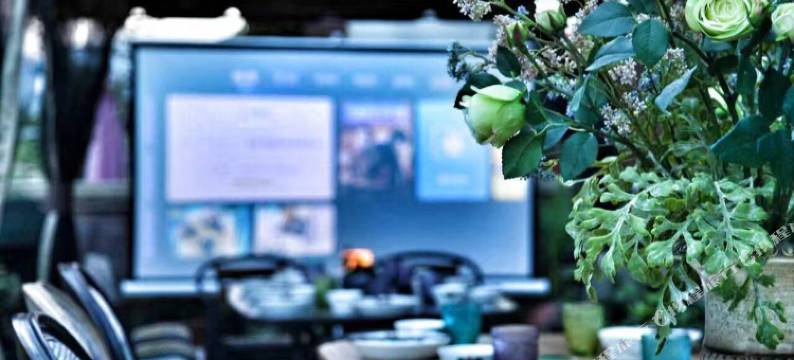 采蝶·九龙溪Villa·团建聚会度假休闲美宿(千岛湖理想花园店)图片