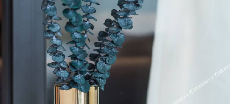 成都初五普通公寓图片