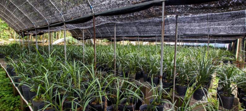 武夷山兰芷客栈(景区南入口店)图片