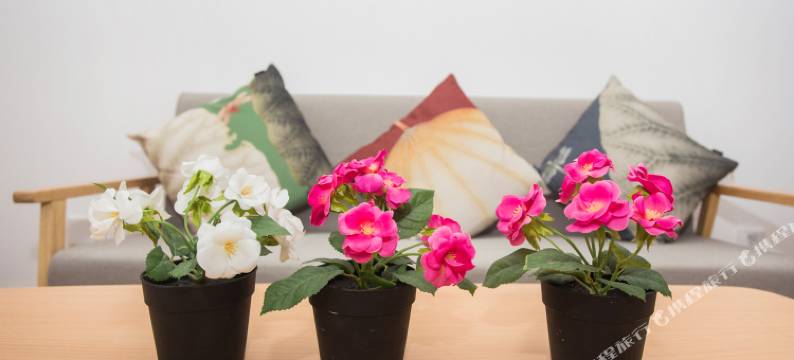 北京闹市中的一抹宁静公寓图片