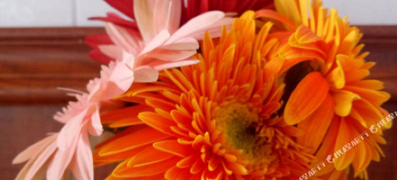 恩施大峡谷晓红山庄图片