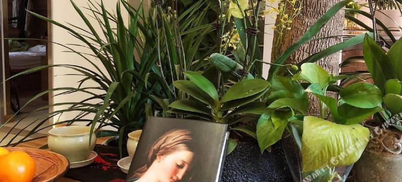 杭州西湖闲处民宿(太子湾店)图片