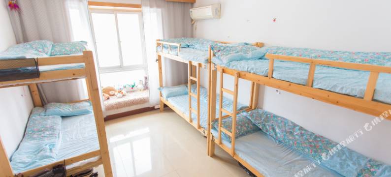 西安派对动物青年旅社图片