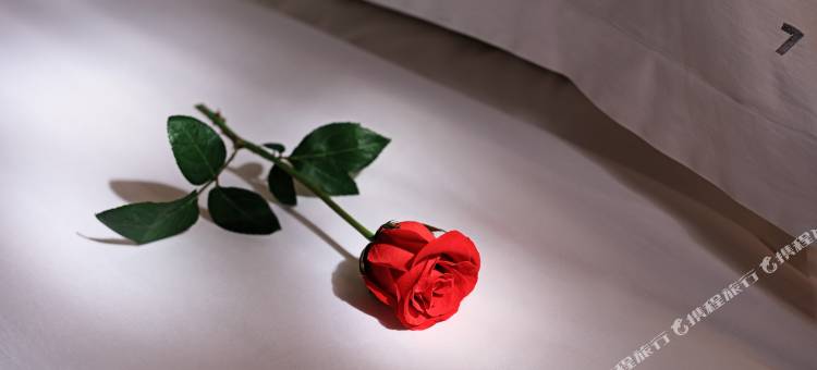 7天优品酒店(单县财富广场东大医院店)图片