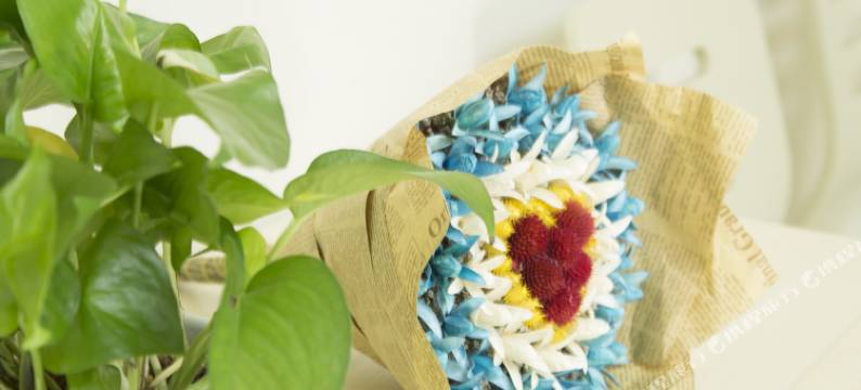 西安人生安静普通公寓(曲江商圈长安南路分店)图片