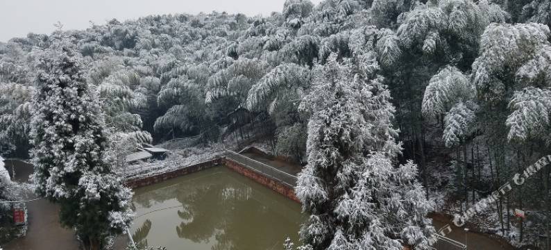 蜀南竹海三合度假酒店图片