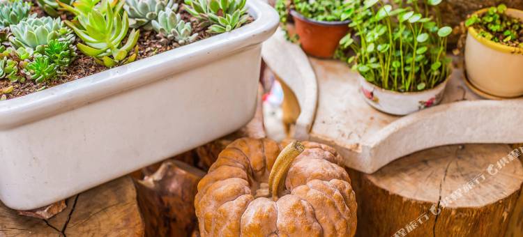 石林朴愫客栈图片