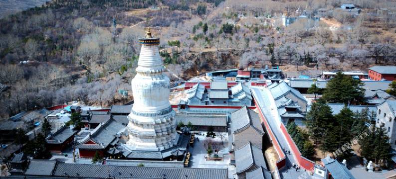 五台山善斋青年旅馆图片
